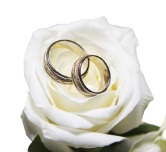 viragkuldes-budapest