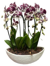 viragkuldes-budapest