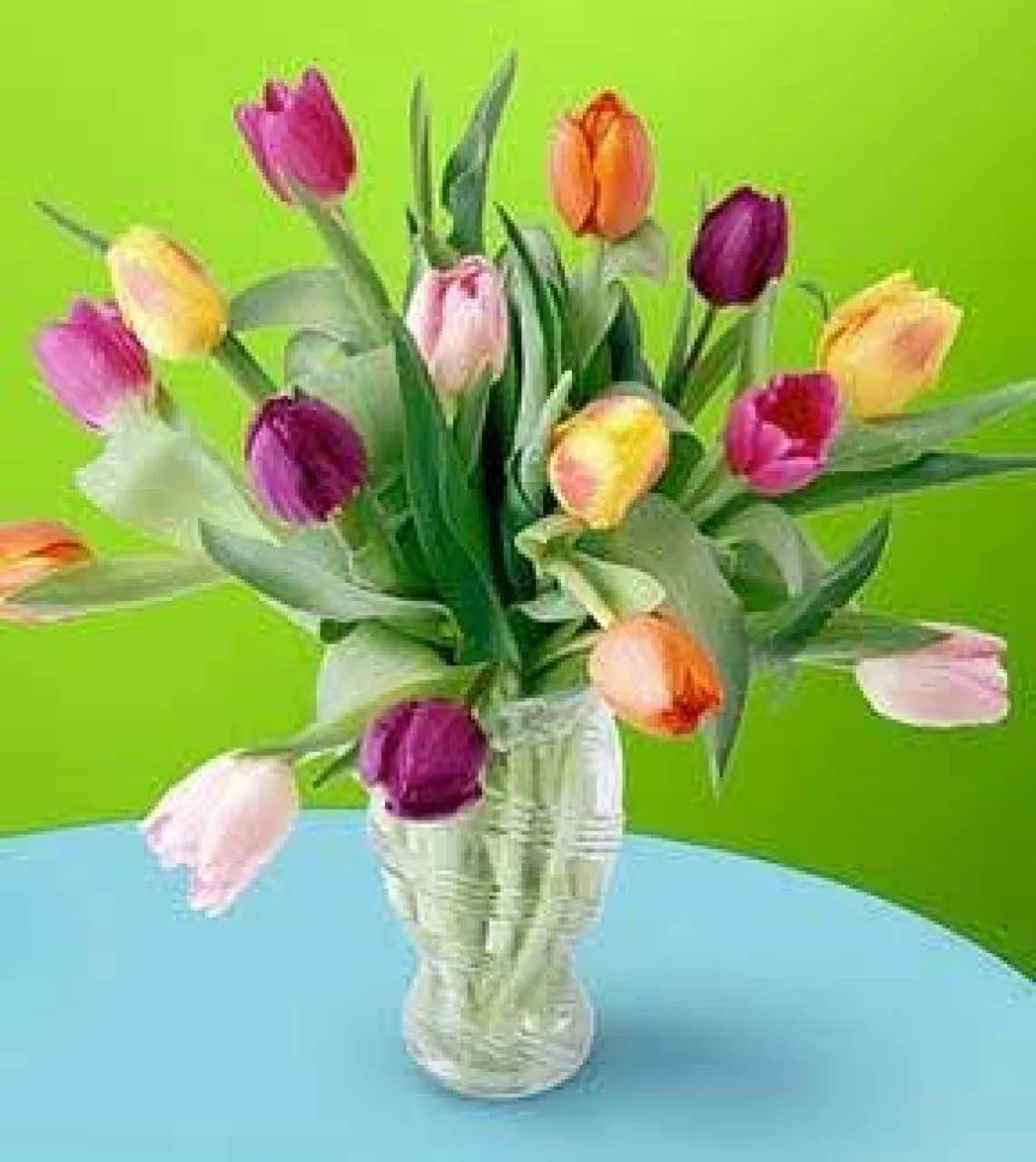 tulipánok vázával- 15 szál  -379
