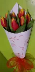 Tulipánok szolíd díszítéssel -411